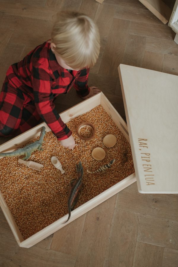 Grote houten speelbak met deksel en naam - Afbeelding 3