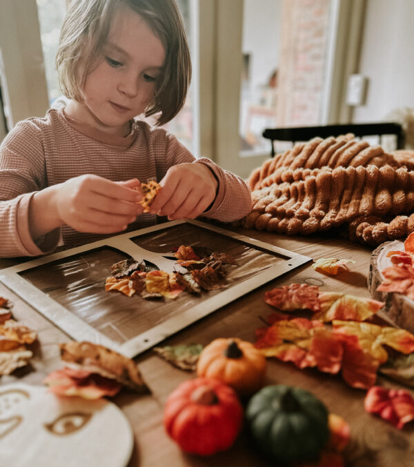 Herfst knutsel set - GROOT - Afbeelding 12
