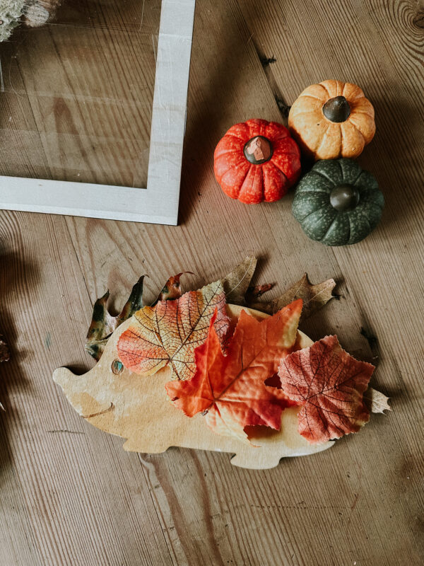 Herfst knutsel set - GROOT - Afbeelding 3